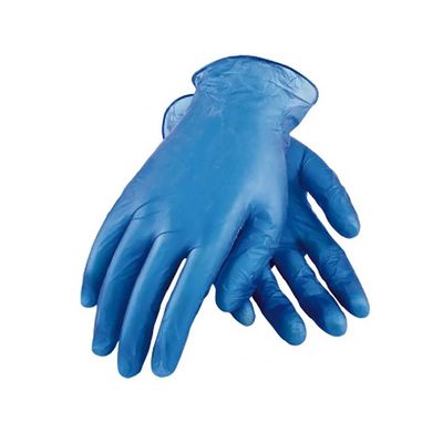 guanto eliminabile del vinile della famiglia 4.5g/Pc 9 pollici del vinile di guanti dell'esame medico