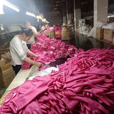 Alta flessibilità 38cm lunghezza imbracatura di cavi che offrono un percorso confortevole e una maggiore durata per macchine industriali