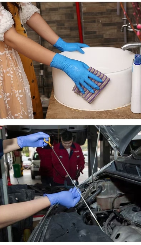 OEM Sì componente di lavorazione alimentare progettato per la conservazione di integrazione senza soluzione di continuità in un ambiente fresco per mantenere l'integrità del prodotto